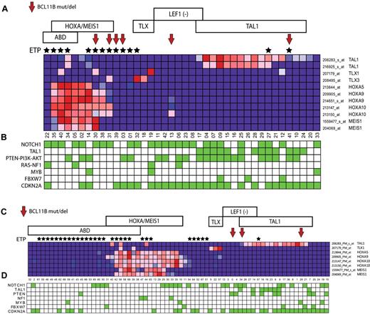 Figure 2. BCL11B haploinsufficiency across the major molecular subtypes of T-ALL. Gene expression profiling was previously performed on 40 of the 47 T-ALL cases in the first DFCI/COG cohort, and on all 70 cases in the second cohort of cases from St Jude/COG/AIEOP analyzed in our study, both representing cohorts that are enriched for high-risk ETP/ABD T-ALL cases. Red arrows point to cases with BCL11B mutations or deletions, and black stars mark cases with the ETP phenotype. Samples are classified by T-ALL subtype as follows: ABD, absence of biallelic TCRγ deletion. ETP indicates early T-cell precursor phenotype. HOXA/MEIS, cases with over-expression of genes of the HOXA/MEIS1 cluster, defined as expression values > 100. TLX, cases with TLX1 or TLX3 overexpression. LEF1 (−), cases with LEF1 deletions or truncating mutations.4 TAL1, cases with TAL1 expression values > 100 or TAL1 activating deletions. (A-B) Heatmap depiction of gene expression and mutation data from the first cohort of 47 children with T-ALL. (C-D) Heatmap depiction of gene expression and mutation data from the second cohort of 70 children with T-ALL. The expression pattern of selected T-ALL oncogenes in each cohort is shown in panels A and C, based on the expression microarrays applied. Note that probe sets that showed no detectable expression in any sample (defined as expression values < 100) were excluded. Key T-ALL oncogenic alterations in each sample are depicted by green boxes in panels B and D, which represent the presence of NOTCH1 mutations, TAL1 activating deletions, PTEN-PI3K-AKT mutations or PTEN deletions, RAS mutation or NF1 deletion, MYB duplications, FBXW7 mutations or deletions, and CDKN2A deletions (supplemental Table and J.R.D. and C.G.M., manuscript submitted, May 2011).