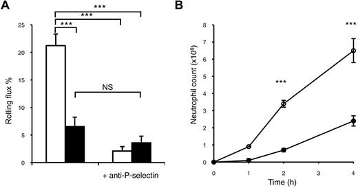 Figure 3. The effect of CD63 deficiency on P-selectin-dependent leukocyte rolling and neutrophil migration in vivo. Surgically-induced leukocyte rolling flux was measured in WT littermate control (open bars) and CD63−/− (closed bars) mice before and after administration of P-selectin antibody (RB40.34, 30 μg/mouse; A). Results are presented as mean ± SEM for n = 9-12 venules from at least 4 mice per group. ***P < .001 compared with wild type rolling before anti-P-selectin antibody administration; NS = not significantly different. Peritoneal neutrophil influx in CD63−/− (●) or WT mice (○) after thioglycollate (3%, 2 mL/mouse, IP) was also measured (B). Peritoneal lavage was performed at the times indicated and the number of neutrophils present in the lavage fluid was determined from total and differential cell counts. Two mice of each genotype were used for 0 hour time point and 6 mice of each used for all other time points. Data are shown as mean ± SEM ***P < .001 compared with wild- type control at the same time point.