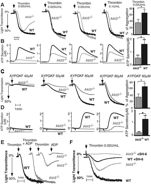 Figure 3. Stimulatory role of Akt3 in platelet aggregation and secretion in response to thrombin and PAR4 agonist peptide. (A-D) Washed wild-type (WT) and Akt3−/− platelets were stimulated with thrombin (A,B) or PAR4 agonist peptide AYPGKF (C,D). Platelet aggregation was monitored using a turbidometric aggregometer at 37°C and 1000 rpm stirring speed (A,C). Platelet secretion of ATP was recorded concomitantly in the presence of luciferin-luciferase agent (B,D). Experiments described in panels A to D were repeated 3 times at a low dose of thrombin (0.02 U/mL) or AYPGKF (60μM) with the results quantified as percentage of light transmission (mean ± SE) or as concentration of secreted ATP (mean ± SE). (E) A low concentration of ADP (1μM), insufficient to induce aggregation on its own, reversed the inhibitory effect of Akt3−/− platelets on thrombin-stimulated aggregation. (F) Akt3−/− and WT mouse platelets were treated with vehicle DMSO or SH-6 (15μM) for 2 minutes and aggregation was recorded as shown in panel A.