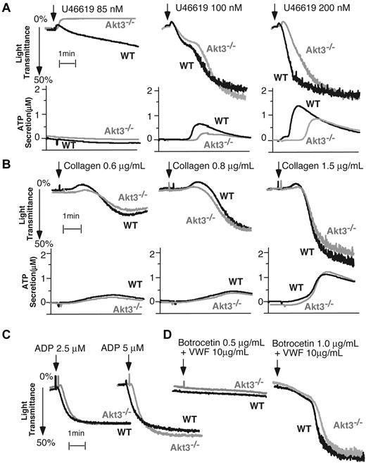 Figure 4. Responses of Akt3−/− platelets to other platelet agonists. (A) Washed wild-type (WT) and Akt3−/− platelets were stimulated with U46619. Platelet aggregation was monitored using a turbidometric aggregometer at 37°C and 1000 rpm stirring speed. Platelet secretion was recorded concomitantly in the presence of luciferin-luciferase agent. Platelet aggregation was also measured after stimulation with (B) collagen (0.8 μg/mL, n = 6, P = .909), (C) ADP (for 2.5μM, n = 4, P = .1646) and (D) botrocetin and VWF (for Botrocetin 1.0 μg/mL, n = 3, P = .837). Quantitation was performed using Student t test.