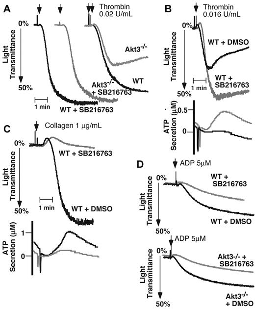 Figure 6. Reversal of the inhibitory effect of Akt3 knockout on platelet aggregation by GSK-3β inhibitor SB216763. (A) Washed WT and Akt3−/− platelets were pre-incubated for 2 minutes with 10μM of SB216763 or vehicle DMSO. These platelets were then stimulated with thrombin in a platelet aggregometer. (B) Washed WT mouse platelets were pre-incubated for 2 minutes with 10μM of SB216763 or vehicle DMSO and stimulated with a subthreshold concentration of thrombin in a platelet aggregometer. Platelet secretion was recorded concomitantly with aggregation in the presence of luciferase agent, and ATP release was recorded. (C) Washed mouse platelets were pre-incubated for 2 minutes with 10 μM of SB216763 or vehicle DMSO and then stimulated with collagen. Platelet ATP secretion was measured concomitantly. (D) Washed WT mouse platelets or Akt3−/− platelets were pre-incubated with 10μM of SB216763 or vehicle DMSO and then stimulated with ADP (5μM) in the presence of fibrinogen (10 μg/mL) and platelet aggregation was recorded.