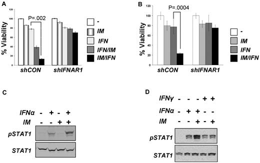 Figure 1. Inhibition of Bcr-abl activity in CML cells augments cellular responses to IFNα. (A) Viability of KT1 cells that received indicated shRNA and were treated with IM (0.5μM for 8 hours), IFNα (250 IU/mL for 8 hours), or a combination (4 hours + 4 hours) of the 2 as indicated. (B) Viability of KU812 cells that received indicated shRNA and were treated as described in panel A. (C) KT1 cells were pretreated with IM (0.5μM) for 8 hours and then treated with IFNα (250 IU/mL) for 30 minutes. Activation and total levels of STAT1 was analyzed in whole cell lysates by immunoblotting using the indicated antibodies. (D) KT1 cells were pretreated with IM (0.5μM) for 8 hours and then treated with IFNα (250 IU/mL) or IFNγ (50 IU/mL) for 30 minutes. Activation and total levels of STAT1 was analyzed in whole cell lysates by immunoblotting using the indicated antibodies.