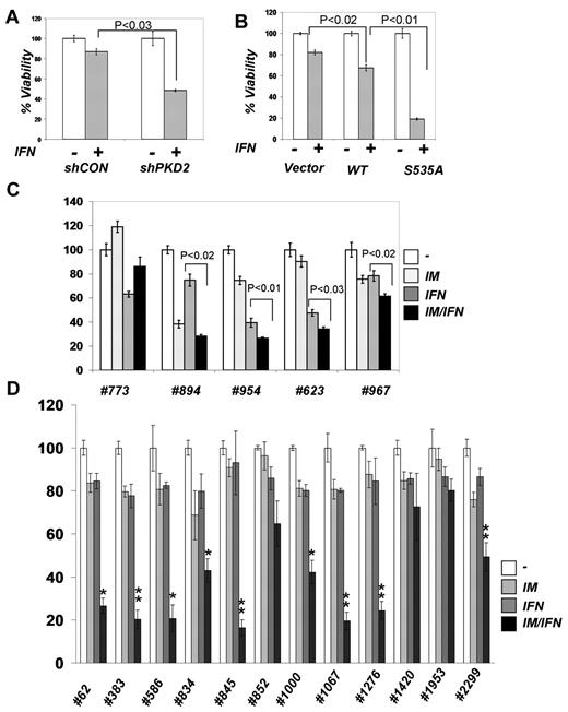 Figure 6. Role of IFNAR1 down-regulation in CML cell viability and clonogenicity. (A) KT1 cells were transfected with control shRNA or shPKD2 and cotransfected with plasmid encoding hygromycin resistance. The cells were kept under hygromycin selection for 48 hours, and viability in response to IFNα was assessed by trypan blue staining and depicted as relative values. (B) KT1 cells were transfected with empty vector, plasmid expressing wild-type IFNAR1, or IFNAR1S535A. The cells were cotransfected with plasmid encoding hygromycin resistance. The hygromycin-resistant cells were selected for 48 hours and analyzed for their viability after IFNα treatment as described in panel A. (C) Colony formation assays were carried out with CML samples from peripheral blood of patients in the chronic phase (773, 894, and 954) and blast crisis (623 and 967) who were positive for Bcr-abl expression. Cells were preincubated with either vehicle, IM (0.25μM), or IFNα (1000 IU/mL) for 6 hours followed by incubation with IFNα (1000 IU/mL) for 24 hours. Cells were then washed and plated in drug-free methylcellulose media, and the colonies were scored 2 weeks later and depicted as percentage relative to untreated controls. (D) Colony formation assays were carried out with CML samples from peripheral blood of patients in the chronic phase (62, 383, 586, 845, 852, 1000, 1067, 1276, 1953, and 2299) and blast crisis (834 and 1420) who were positive for Bcr-abl expression. Cells were preincubated with either vehicle, IM (0.15μM), or IFNα (150 IU/mL) for 6 hours followed by incubation in the methylcellulose media containing or not IFNα (150 IU/mL) for 3 weeks before the colonies were scored and depicted as percentage relative to untreated controls. Asterisks denote statistically significant (compared with other treatment groups) differences, *P < .05 and **P < .001.