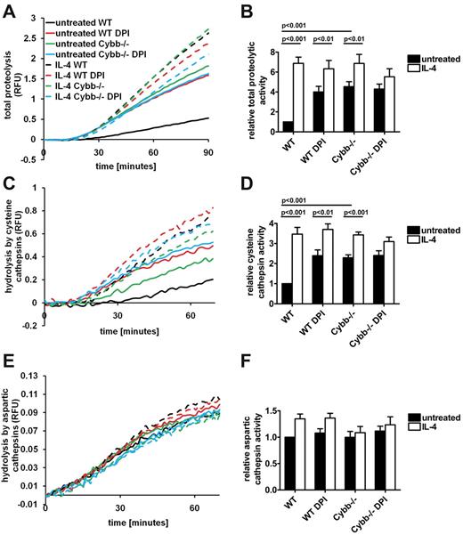 Figure 4. IL-4 regulates phagosomal cysteine cathepsin activity in a NOX2-dependent and -independent fashion. Total proteolytic efficiencies (A-B), cysteine cathepsin activities (C-D), and aspartic cathepsin activities (E-F) within phagosomes of untreated or IL-4–activated BMMØs were assessed in the presence of absence of functional NOX2. This was achieved by measuring the hydrolysis of particle-restricted fluorogenic substrates in WT and the NOX2-deficient Cybb−/− BMMØs with or without inhibition of NOX2 by DPI (0.5μM). (A-B) General phagosomal proteolysis was assessed by measurement of fluorescence liberated through hydrolysis of particle-associated DQ-albumin. Relative activities of cysteine cathepsin (C-D) and aspartic cathepsins (E-F) were evaluated with the use of cathepsin B/L- and D/E-specific fluorogenic peptides bound to IgG-coupled experimental particles. (A,C,E) Real-time representative traces. RFU values are proportional to the degree of substrate hydrolysis. (B,D,F) Averaged activities relative to untreated WT controls are from 4 independent experiments. Activities were determined by calculation of the slope of the linear portion of the real-time trace (as described by y = mx + c, where y = relative fluorescence, m = slope, and x = time) and expressed relative to untreated WT controls. Error bars denote SEM. P values were determined by 1-way ANOVA.