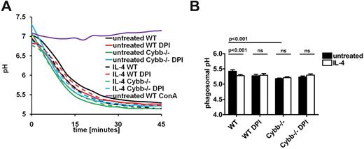 Figure 5. Effects of IL-4 activation on phagosomal acidification in the presence and absence of functional NOX2. Acidification profiles of phagosomes were generated in untreated and IL-4–activated WT and Cybb−/− BMMØs, with or without NOX2 inhibition with DPI (0.5μM) or vacuolar ATPase inhibition with concanamycin A (100nM). After phagocytosis, pH was calculated from excitation ratios of the pH-sensitive carboxyfluorescein-SE on IgG-coupled beads by regression to a standard curve. (A) Representative real-time phagosomal acidification profiles. (B) Lumenal pH at 30 minutes postinternalization. Graph represents averaged data from 4 independent experiments. Error bars represent SEM. P values were determined by 1-way ANOVA.