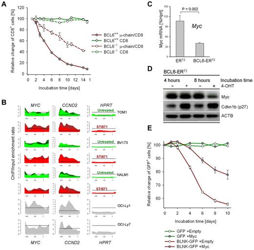 Figure 2. Pre-B cell receptor–mediated up-regulation of BCL6 inhibits proliferation by transcriptional repression of Myc. Pre-B ALL cells from Bcl6+/+ and Bcl6−/− bone marrow were transduced with retroviral expression vectors for CD8/μ-chain or CD8 alone. The relative change of the percentage of CD8+ cells over time was measured by flow cytometry (A; n = 3). To identify BCL6-target genes, ChIP-on-chip analysis was performed for 3 human BCR-ABL1 pre-B ALL cell lines (BV173, Tom1, Nalm1) and 2 human diffuse large B-cell lymphoma cell lines (OCI-Ly1 and OCI-Ly7) as positive controls. High expression levels of BCL6 were induced by treatment of BCR-ABL1 pre-B ALL cell lines with 10μM STI571 for 24 hours (STI571). Recruitment to CCND2 and MYC (see supplemental Figure 3) promoters are shown and to the HPRT promoter as a negative control. The ChIP-on-chip data for Myc in Nalm1 cells is also published in Duy et al.9 (B) BCR-ABL1 pre-B ALL cells were transduced with 4-hydroxy-tamoxifen (4-OHT)–inducible vectors for BCL6-ERT2 and ERT2 empty vector control. Myc mRNA (C; n = 2) and protein (D; n = 2) levels on 4-OHT induction were measured by quantitative RT-PCR and Western blot, respectively. Induction of BCL6 also resulted in up-regulation of Cdkn1b (p27) protein levels (D). Overexpression of Myc was sufficient to partially rescue BLNK/BCL6-mediated inhibition of proliferation (E): Blnk−/− BCR-ABL1 pre-B ALL cells were transduced with Myc-Puro or a Puro-empty vector control and subjected to antibiotic selection. Subsequently, pre-BCR signaling was reconstituted by retroviral expression of BLNK-GFP or a GFP empty vector control and proliferation of the Myc-Puro versus Puro-transduced cells was measured as relative change of the percentage of BLNK-GFP+ or GFP+ cells (E; n = 2).