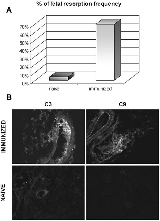 Figure 5. Effect of antibodies to β2GPI on the resorption rate and C deposition at the implantation sites in pregnant mice. The animals killed on day 17 of gestation 1 week after injection of β2GPI-Cy5.5. The percentage of fetal resorption was evaluated in 4 naive and 4 immunized animals (A) and the deposition of C3 and C9 was analyzed on the implantation sites of both groups of mice (B). Original magnification 200×.
