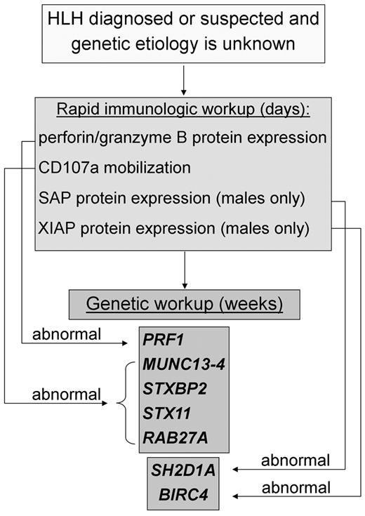 Figure 2. Immunologic and genetic workup of HLH. Rapid immunologic testing (which may be performed in 1-3 days) may support a diagnosis of HLH and provide etiologic data, whereas gene sequencing (typically requiring 3-8 weeks) may define the underlying genetic cause. Measurement of NK cytotoxic function and sCD25 may also support the diagnosis of HLH but is not included in the diagram because abnormalities in these assays do not suggest specific genetic lesions. Of note, whereas an abnormal test suggests an underlying gene abnormality, a normal immunologic test does not preclude genetic testing. Genetic testing should be pursued until biallelic (or hemizygous) mutations are found or until all 5 genes (or 7, in the case of males) are assayed. LYST gene sequencing is not currently commercially available.