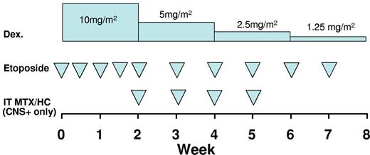 Figure 5. Induction therapy for HLH. Based on the HLH-94 study, this approach should be considered standard of care for all patients not enrolled in clinical trials, based on published evidence of efficacy.71 Etoposide is dosed as 150 mg/m2 per dose. Alternatively, for patients weighing < 10 kg, consideration may be given to dosing etoposide as 5 mg/kg per dose. Dexamethasone (Dex.) is dosed as indicated and may be given orally or intravenously, although the latter is preferred at therapy initiation. Intrathecal methotrexate and hydrocortisone (IT MTX/HC) should be given to patients with evidence of CNS involvement, as early as LP may be safely performed (which may vary from the diagram) and dosed as follows: age < 1 year, 6/8 mg (MTX/HC); 1-2 years, 8/10 mg; 2-3 years, 10/12 mg; > 3 years, 12/15 mg. Weekly intrathecal therapy is generally continued until at least 1 week after resolution of CNS involvement (both clinical and CSF indices).