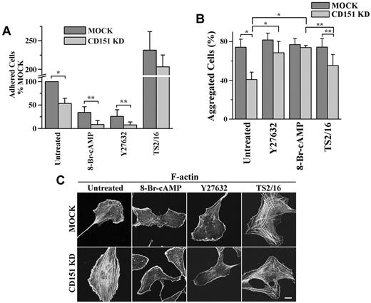 Figure 6. The effects of Y27632, 8-Br-cAMP, and TS2/16 on cell-matrix adhesion, cell-cell adhesion, and stress fiber formation. HMEC transductants were treated with Y27632 (10μM), 8-Br-cAMP (500μM), or TS2/16 (1 μg/mL) overnight either before (A) or during (B-C) experiments. (A) The 35-minute, static cell-matrix adhesion assay was performed on LN 332 (1 μg/mL) as described in supplemental Methods. *P < .01. **P < .05. (B) Cell-cell adhesion assay was performed in complete media. *P < .01. **P < .05. (C) After ECs were spread overnight in the presence or absence of treatment, the IF staining of F-actin was performed as described in supplemental Methods. Images were taken on a Zeiss LSM510 confocal fluorescence microscope under a 100×/1.4 NA oil objective. Bar represents 10 μm. See supplemental Figure 6 for the codistribution of F-actin and vinculin.