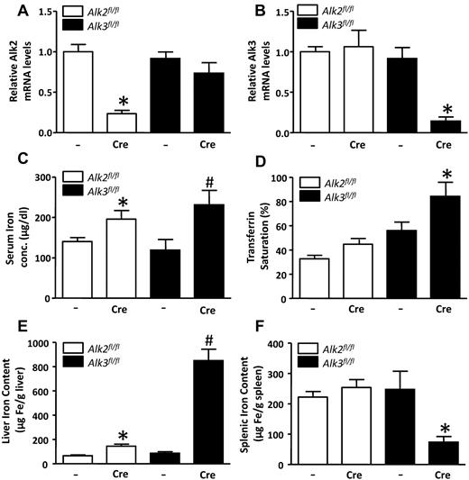 Figure 1. Serum and tissue iron levels are increased in Alk2fl/fl; Alb-Cre and Alk3fl/fl; Alb-Cre mice. (A) Hepatic Alk2 mRNA levels were measured in Alk2fl/fl and Alk2fl/fl; Alb-Cre mice, and Alk3fl/fl and Alk3fl/fl; Alb-Cre mice. Mice carrying the Cre recombinase transgene are indicated by “Cre.” *P < .0001, Alk2fl/fl; Alb-Cre versus Alk2fl/fl. (B) Hepatic Alk3 mRNA levels were measured in Alk2fl/fl, Alk2fl/fl; Alb-Cre, Alk3fl/fl and Alk3fl/fl; Alb-Cre mice. *P = .001, Alk3fl/fl; Alb-Cre versus Alk3fl/fl. (C) Serum iron concentration measured in all 4 genotypes (n ≥ 8 per group). *P = .04, Alk2fl/fl; Alb-Cre versus Alk2fl/fl. #P = .04, Alk3fl/fl; Alb-Cre versus Alk3fl/fl. (D) Transferrin saturation measured in all 4 genotypes (n ≥ 8 per group). P = .054, Alk2fl/fl; Alb-Cre versus Alk2fl/fl. *P = .049, Alk3fl/fl; Alb-Cre versus Alk3fl/fl. (E) Liver iron content measured in all 4 genotypes (n ≥ 8 per group). *P = .0025, Alk2fl/fl; Alb-Cre versus Alk2fl/fl. #P = .0005, Alk3fl/fl; Alb-Cre versus Alk3fl/fl. (F) Spleen iron content measured in all 4 genotypes (n ≥ 8 per group). *P = .04: Alk3fl/fl; Alb-Cre versus Alk3fl/fl.