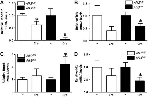 Figure 3. Hepatic hepcidin, transferrin receptor 1 (Tfrc), Bmp6, and Id1 mRNA levels are decreased in Alk3fl/fl; Alb-Cre mice at the age of 12 weeks. (A) Hepatic hepcidin mRNA levels were determined by quantitative RT-PCR in Alk2fl/fl, Alk2fl/fl; Alb-Cre, Alk3fl/fl, and Alk3fl/fl; Alb-Cre mice (n ≥ 7 per group). *P = .03, Alk2fl/fl; Alb-Cre versus Alk2fl/fl. #P = .02, Alk3fl/fl; Alb-Cre versus Alk3fl/fl. (B) Hepatic Tfrc (n ≥ 7 per group). *P = .04, Alk3fl/fl; Alb-Cre versus Alk3fl/fl. (C) BMP6 (n ≥ 7 per group). *P = .049, Alk3fl/fl; Alb-Cre versus Alk3fl/fl. (D) Id1 (n ≥ 7 per group). *P = .04, Alk3fl/fl; Alb-Cre versus Alk3fl/fl. mRNA levels were also measured.