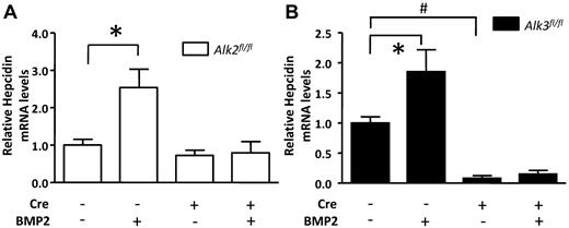 Figure 4. Alk2 and Alk3 are required for BMP2-mediated induction of hepcidin gene expression and loss of Alk3 suppresses basal hepcidin mRNA levels in isolated hepatocytes. Isolated hepatocytes were treated with and without BMP2 (100 ng/mL) for 2 hours (n = 5 hepatocyte isolations from Alk2fl/fl mice; n = 3 hepatocyte isolations from Alk2fl/fl; Alb-Cre, Alk3fl/fl and Alk3fl/fl; Alb-Cre mice, each). (A) Hepcidin mRNA levels in Alk2fl/fl and Alk2fl/fl; Alb-Cre hepatocytes. *P = .0075, Alk2fl/fl without versus with BMP2. (B) Hepcidin mRNA levels in similarly treated Alk3fl/fl and Alk3fl/fl; Alb-Cre hepatocytes. *P < .05, Alk3fl/fl without versus with BMP2. #P < .0001 Alk3fl/fl; Alb-Cre without BMP2 versus Alk3fl/fl without BMP2.