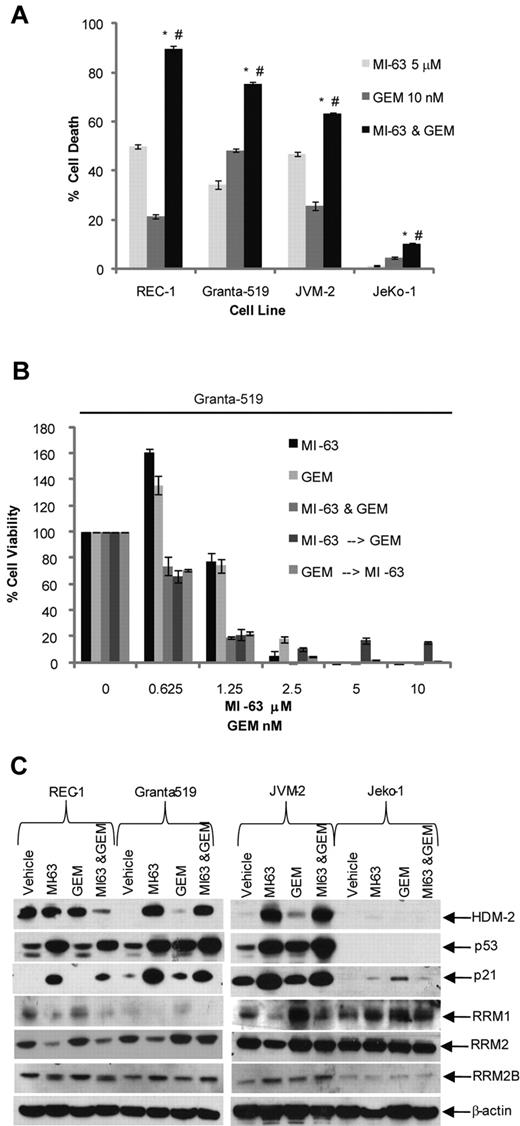 Figure 2. dFdC and MI-63 enhance cell death. (A) REC-1, Granta-519, and JVM-2, and the mutp53 MCL cell line JeKo-1, were treated for 24 hours with vehicle, 5μM MI-63, 10nM dFdC (GEM), or both. Flow cytometric analysis was then performed after staining with annexin-V and TO-PRO-3, from which the proportion of cells undergoing apoptosis was calculated and normalized to the vehicle control group. Values represent the mean ± SE from 3 independent experiments. An unpaired t test was performed to evaluate for significance; *P < .01 relative to MI-63 alone; #P < .01 relative to dFdC alone. (B) Granta-519 cells were incubated simultaneously with single agent MI-63 or dFdC for 72 hours. In parallel, cells were exposed either first to MI-63 for 24 hours followed by dFdC and MI-63 for 48 hours or to dFdC first for 24 hours followed later by MI-63 and dFdC for 48 hours. Cell viability was determined using the WST-1 reagent, and results are expressed as the percentage viability relative to the vehicle control, which was arbitrarily set at 100%. The presence of synergistic interactions was determined by calculation of the CI from the cell viabilities calculated across a serial dilution range of MI-63 or dFdC (Table 2). Each panel provides representative data from 1 of 3 independent experiments. (C) Protein levels of HDM-2, p53, RRM1, RRM2, RRM2B, and p21, and β-actin as a loading control, were determined by Western blotting of cellular lysates.