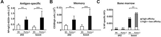 Figure 6. Puma-deficient mice contained more antigen-specific CD38high memory B cells and AFCs than wild-type mice after secondary immunization. Wild-type and Puma−/− mice were injected intraperitoneally with 100 μg NP coupled to KLH at day 0 and day 42. Five days after the second injection (day 47), leukocytes were collected from the spleen or bone marrow and subjected to ELISPOT for enumeration of AFCs or stained with the indicated antibodies and then analyzed by flow cytometry to determine the numbers of memory B cells. Numbers of splenic NP+IgG1+B220+ B cells (A) and NP+IgG1+B220+ CD38high memory B cells (B) of wild-type or Puma−/− mice. (C) Frequencies of anti-NP Ig secreting AFCs in the bone marrow of wild-type or Puma−/− mice. The total column represents all AFCs (high plus low affinity for NP; ie, binding to NP20) and the high-affinity (antibodies binding to NP2) AFCs are represented by the black portion of the column. Data represent mean (± SD) of n = 3 at d42 and at d47, n = 7 mice per genotype. (**P < .01, *** P < .005).