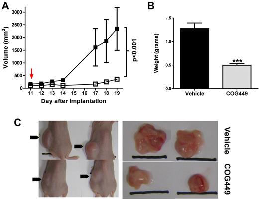 Figure 5. SET antagonism inhibits NHL cell growth in vivo. (A) Tumor volumes of Ramos cell tumor xenografts in SCID mice after in vivo treatment with 5 mg/kg COG449 (□) or lactated Ringer solution control (■) by subcutaneous injection. The injections were initiated on day 11, once tumors reached palpable sizes of 50-100 mm3. (B) Final tumor mass for treated and untreated Ramos tumors harvested on day 19 after implantation. ***P < .001 by t test. (C) Representative mice and their tumors.