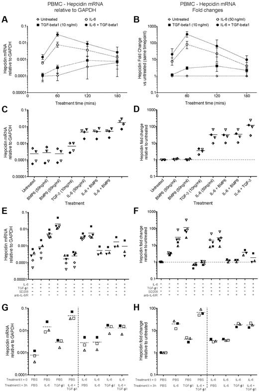 Figure 2. IL-6 and TGF-β1, but not BMPs, induce hepcidin mRNA in human PBMCs. (A-B) Time course of hepcidin induction by IL-6 and TGF-β1. qRT-PCR measurement of hepcidin mRNA induction in 5 × 106 PBMCs cultured for various times in the presence or absence of IL-6 (50 ng/mL) and TGF-β1 (10 ng/mL). Data are presented as (A) expression relative to GAPDH, and (B) fold-change in hepcidin expression relative to the untreated sample from the same timepoint. Datapoints represent means and ranges for PBMCs obtained from 3 donors, run in singlicate. (C-D) BMP6 and BMP9 do not induce hepcidin. Hepcidin mRNA expression in PBMCs cultured for 1 hour with BMP6, BMP9 (both 50 ng/mL), or TGF-β1 (10 ng/mL) in the presence or absence of IL-6 (50 ng/mL). Data are presented as (C) expression relative to GAPDH, and (D) fold-change in hepcidin expression relative to the untreated sample from the same individual. Dashed lines represent the mean values for PBMCs obtained from 4 donors, indicated by different symbols. (E, F) Small molecule and antibody-mediated inhibition of TGF-β1– and IL-6–mediated hepcidin induction. Hepcidin mRNA expression in PBMCs (N = 5 donors) cultured for 1 hour with combinations of IL-6 (50 ng/mL), TGF-β1 (10 ng/mL), the small molecule Alk5 (TGF-β receptor) inhibitor SD208 (1μM), and a mixture of neutralizing anti–IL-6 and anti–IL-6R antibodies (10 μg/mL each). Data are presented as (E) relative to GAPDH and (F) as fold-changes as in panels C, D. Data for anti–IL-6 treatment were not obtained for 2 PBMC preparations. (G-H) IL-6 treatment of human PBMCs renders them refractory to hepcidin induction by subsequent retreatment with IL-6, but not TGF-β1. Hepcidin mRNA expression in PBMCs (N = 3 donors) cultured for a total of 4 hours: at time zero, cells were treated with or without IL-6 (50 ng/mL); after 3 hours, they were treated with either IL-6 (50 ng/mL), TGF-β1 (10 ng/mL) or both. RNA was extracted after 4 hours. Data are presented as (G) relative to GAPDH and (H) fold-changes relative to the untreated sample from the same individual.