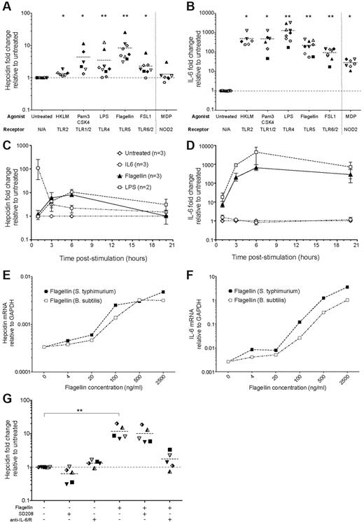 Figure 3. Hepcidin induction in human PBMCs by bacterial and fungal-related TLR agonists. (A-B) Hepcidin and IL-6 induction. qRT-PCR measurement of (A) hepcidin and (B) IL-6 mRNA in PBMCs cultured for 3 hours in the presence of various TLR agonists derived from bacteria or fungi, or their mimics: the TLR2 agonist Heat-killed L monocytogenes (HKLM, 7-8 × 107 cells/mL); the TLR1/2 agonist Pam3CSK4, a synthetic bacterial lipopeptide mimic (0.5 μg/mL); the TLR4 agonist lipopolysaccharide (LPS) derived from E coli K12 (1 μg/mL); the TLR5 agonist S typhimurium flagellin, a flagellar motor protein (0.5 μg/mL); and the TLR6/2 agonist FSL1, a synthetic Mycoplasma lipoprotein mimic (0.5 μg/mL). Muramyl dipeptide (MDP), a bioactive motif found within bacterial peptidoglycan and agonist for the cytoplasmically-expressed NLR NOD2 was also tested, separated from TLR agonists by a vertical dotted line. Data are presented as fold-changes in expression relative to untreated samples from the same individual (N = 9 PBMC donors, each symbol represents one PBMC preparation; not every individual was tested with every TLR agonist; datapoints represent, in the majority of cases, mean values of biologic duplicates; dashed line represents the mean for each dataset). *P < .05, **P < .01, Wilcoxon matched pairs signed-rank test, comparing with untreated samples: note that to account for variability in baseline hepcidin levels between individuals, statistics were generated based on the data presented in supplemental Figure 3A-B (see supplemental Methods). (C-D) Time course of hepcidin and IL-6 induction by Flagellin and LPS. Fold-changes in (C) hepcidin and (D) IL-6 expression (relative to untreated samples from the same timepoint and individual) in PBMCs (N = 3 donors) treated with LPS (1μg/ml) Flagellin (0.5 μg/ml) or IL-6 (50 ng/mL) for 1, 3, 6, or 20 hours. Mean and range are shown. (E-F) Hepcidin and IL-6 induction in PBMCs by titrations of S. typhimurium and B subtilis flagellins. (E) Hepcidin and (F) IL-6 mRNA expression relative to GAPDH in PBMCs (N = 1 donor) cultured for 3 hours with increasing concentrations of flagellins derived from S typhimurium (purple line) and B subtilis (red line). (G) Inhibition of flagellin-mediated hepcidin induction in PBMCs. Fold-changes in hepcidin mRNA expression (relative to untreated samples from the same individual; N = 5 donors) in PBMCs cultured for 3 hours in the presence or absence of: flagellin (0.5 μg/mL); the Alk5/TGF-β pathway inhibitor, SD208 (1μM); and a mix of neutralizing anti–IL-6 and anti–IL-6R antibodies (10 μg/mL each, added 15 minutes before addition of flagellin/SD208 to the cultures). P < .001, Friedman test; **P < .01 indicates Dunn multiple comparison posttest.
