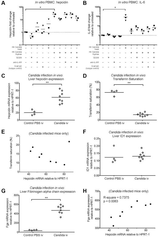 Figure 4. Hepcidin induction by C albicans in vitro and in vivo. (A-B) Hepcidin and IL-6 induction in PBMCs after coculture with heat-killed C albicans. qRT-PCR measurement of fold-changes in (A) hepcidin and (B) IL-6 mRNA (relative to untreated controls from the same individual) in PBMCs (N = 3 donors, represented by different symbols) cultured for 22 hours in the presence of heat-killed C albicans yeast or hyphae (PBMC:Candida ratio = 5:1), with or without the Alk5/TGF-β1 pathway inhibitor, SD208 (1μM), and a mix of neutralizing anti–IL-6 and anti–IL6-R antibodies (10 μg/mL each, added 15 minutes before addition of C albicans or SD208 to cultures); goat IgG was used as an isotype control (20 μg/mL). Means are shown; P < .01, Friedman test; *P < .05 indicate Dunn multiple comparison test. (C-H) Hepcidin induction and effects on serum iron during acute systemic C albicans infection of mice. qRT-PCR measurement of (C) Hepcidin (Hamp1), (F) Id1, and (G) Fibrinogen α chain (Fga) mRNA expression relative to the endogenous control gene Hprt1 in livers of 8-week-old male C57BL/6 mice terminated 24 hours after intravenous infection with 5 × 105 C albicans strain SC5314 yeast cells (N = 8) or PBS (N = 4). Serum was taken at termination for calculation of (D) transferrin saturation. **P < .01, Mann-Whitney test. (E,H) Pearson correlation between (E) liver hepcidin mRNA and transferrin saturation, and between (H) liver hepcidin and Fga mRNA levels considering infected mice only.