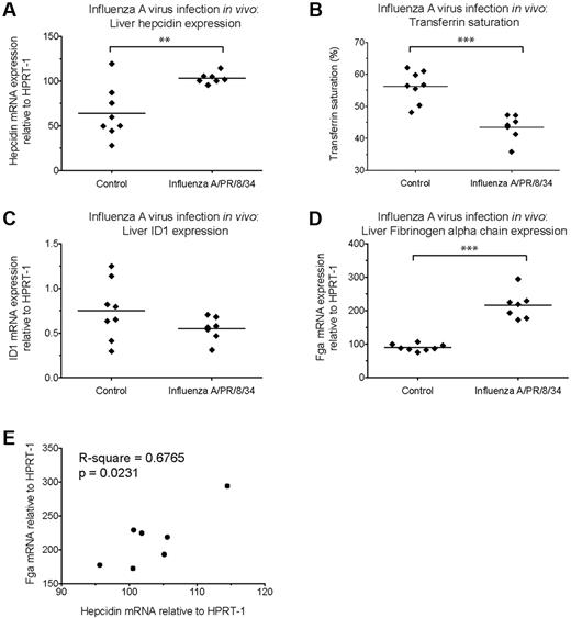 Figure 6. Hepcidin induction and effects on serum iron during acute Influenza virus A/PR/8/34 infection of mice. qRT-PCR measurement of (A) Hepcidin (Hamp1), (C) Id1 and (D) Fibrinogen α chain (Fga) mRNA expression relative to the endogenous control gene Hprt1 in the livers of 6-week-old female C57BL/6 mice terminated 3 days after intranasal infection with 3.5 HAU Influenza A virus (A/PR/8/34) (n = 7 mice) or mock-infected (PBS; n = 8 mice). Serum was taken at termination for calculation of (B) transferrin saturation. **P < .01, ***P < .001, t test. (E) Pearson correlation between hepcidin and Fga mRNA levels in livers of infected mice.