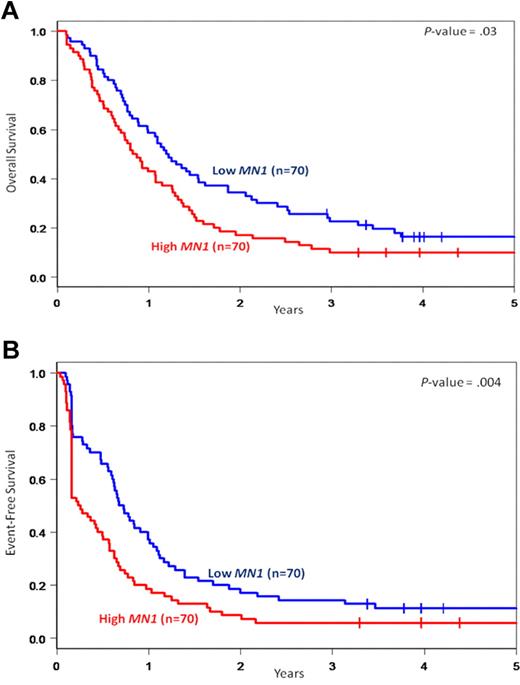 Figure 1. Outcome of CN-AML patients 60 years of age or older with respect to MN1 expression. (A) OS. (B) EFS.