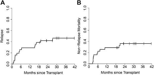 Figure 2. Relapse incidence and NRM in AML. The cumulative incidence of relapse (A) and NRM (B) for AML patients (n = 31).