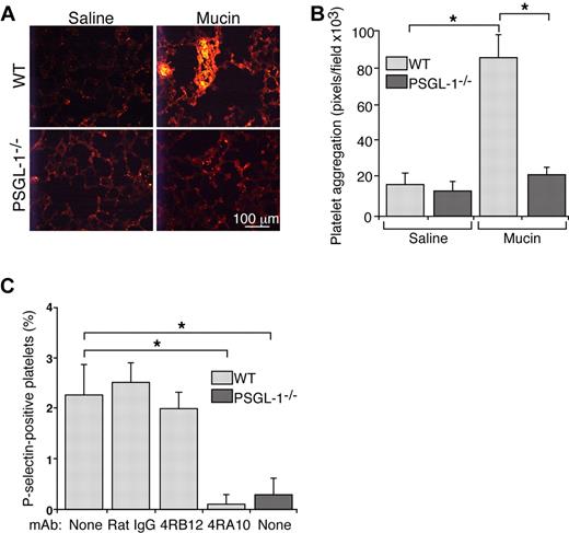 Figure 1. Mucins require PSGL-1 to generate platelet-rich microthrombi in vivo and to activate platelets in whole blood. (A) Representative images of lung sections from WT or PSGL-1−/− mice prepared 5 minutes after intravenous injection of mucins or saline. The sections were labeled with antibody to the platelet marker, CD41. (B) Quantification of CD41-positive pixels in lung sections. The data represent the mean ± SEM, n = 4-7 mice for each group. *P < .001. (C) Hirudin-anticoagulated whole blood from WT or PSGL-1−/− mice was incubated with mucins in the presence or absence of control rat IgG, nonblocking anti–PSGL-1 mAb 4RB12 or blocking anti–PSGL-1 mAb 4RA10. The percentage of P-selectin–positive platelets was measured by flow cytometry. P-selectin expression in control buffer-treated samples was subtracted as background. The data represent the mean ± SEM from 5 experiments. *P < .01.