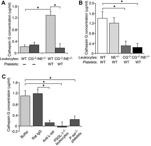Figure 4. Mucins require L-selectin, PSGL-1, and platelet P-selectin to stimulate secretion of cathepsin G from neutrophils. (A-B) Leukocytes from mice of the indicated genotype were incubated with mucins in the presence or absence of washed platelets from WT mice. After pelleting the cells, the concentration of cathepsin G was measured using an enzymatic assay. Activity in control buffer-treated samples was subtracted as background. (C) Leukocytes and platelets of the indicated genotype were incubated with mucin in the presence or absence of control rat IgG or anti–L-selectin mAb Mel-14. After pelleting the cells, the concentration of cathepsin G was measured using an enzymatic assay. Activity in control buffer-treated samples was subtracted as background. The data represent the mean ± SEM from 3 experiments. *P < .01.