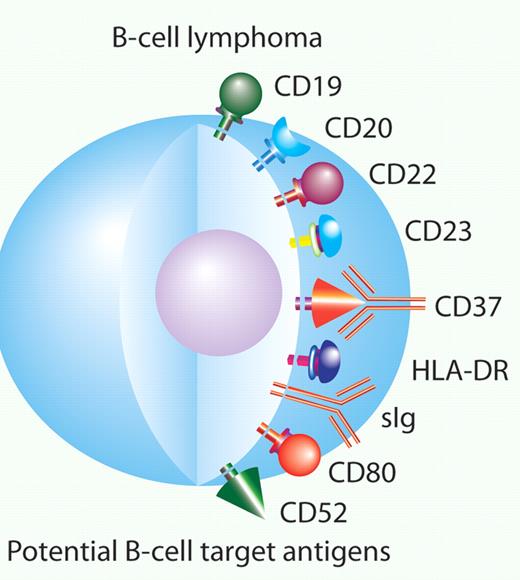 CD37 is one of many potential antibody targets for B-cell malignancies. Professional illustration by Paulette Dennis.
