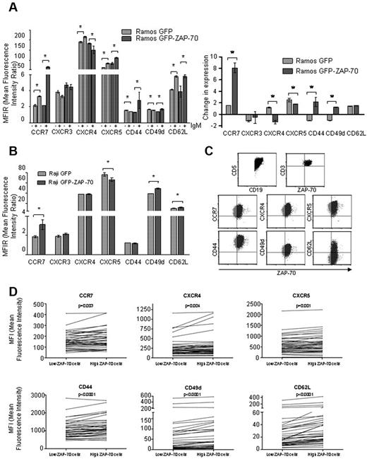 Figure 3. ZAP-70 enhances CCR7 up-regulation after BCR activation. (A) Expression of CCR7, CXCR3, CXCR4, CXCR5, CD44, CD49d, and CD62L was assessed by flow cytometry in Ramos transfectants before and after stimulation for 16 hours with 5 μg/mL F(ab′)2 anti-IgM. Left panel: MFIR (± SEM) of expression before and after IgM stimulation. Right panel: Change of expression relative to unstimulated cells in Ramos GFP and Ramos GFP-ZAP-70. *P < .05. (B) Expression of CCR7, CXCR3, CXCR4, CXCR5, CD44, CD49d, and CD62L was assessed by flow cytometry in Raji cells with or without ZAP-70 expression. (C) ZAP-70, CCR7, CXCR4, CXCR5, CD44, CD49d, and CD62L expression was assessed by flow cytometry in peripheral blood mononuclear cells obtained from 40 patients with CLL. The expression of ZAP-70 in CD3+ gated T cells was used as internal control and allowed for the measurement of expression of chemokine receptors and adhesion molecules in CD19+/CD5+ gated CLL cells with high (black) or low (gray) ZAP-70 expression. (D) Expression of CCR7, CXCR4, CXCR5, CD44, CD49d, and CD62L was significantly higher in CLL cells with high ZAP-70 expression within the same patient.