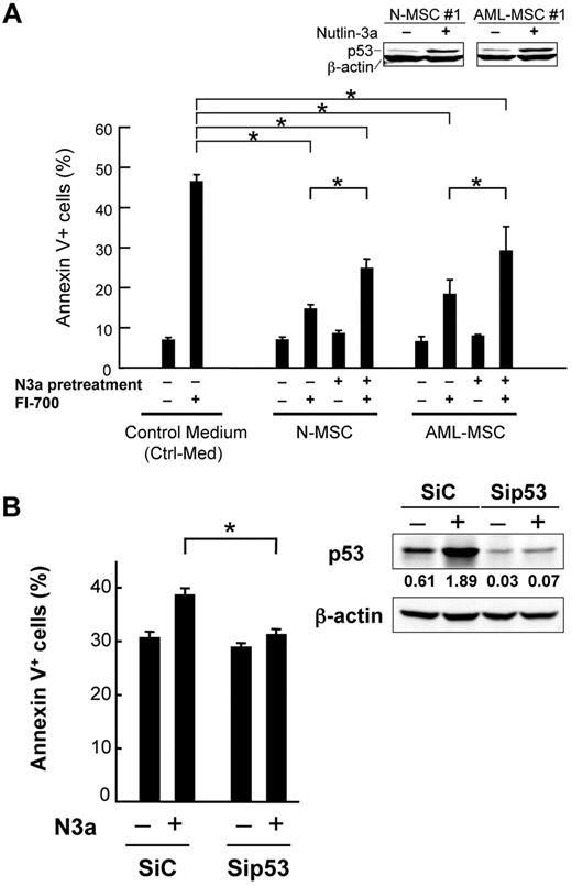 Figure 2. p53-activated MSCs exhibit reduced protection of FLT3/ITD AML cells from FI-700–induced apoptosis. (A) MSCs were pretreated with 10μM Nutlin-3a (N3a) for 24 hours. After the wells were washed 3 times with MEM-α medium (control medium: Ctrl-Med), MOLM-13 cells were treated with 800nM FI-700 for 24 hours in the presence or absence of MSCs from 3 normal subjects (N-MSC) or 3 AML patients (AML-MSC). Asterisk (*) indicates significance at P < .05 (1-way ANOVA/Tukey). (B) MSCs were transfected with either control (SiC) or p53 siRNA (Sip53). Twenty-four hours posttransfection, cells were subsequently treated with 10μM Nutlin-3a (N3a). After washing, MOLM-13 cells were treated with 800nM FI-700 for 24 hours. Intensity of the immunoblot signals was quantified and the relative intensity of p53 compared with β-actin was calculated.