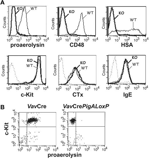 Figure 1. Phenotype analysis of PigA-deficient mast cells by flow cytometry. (A) PigA-deficient BMMCs cultured from VavCrePigALoxP (KO; bold lines) or littermate control VavCre (WT; filled lines) mice were analyzed by flow cytometry. Complete GPI-deficient phenotype was evident from a lack of staining with proaerolysin, a general marker for the GPI lipid anchor, and with antibodies against the GPI-AP CD48 and HSA. PigA-deficient BMMCs demonstrated normal staining with antibodies against the mast cell marker c-Kit, and with the lipid raft marker cholera toxin subunit B (CTx); and normal binding of monomeric mouse IgE. Dotted lines: staining controls. (B) Peritoneal mast cells from littermate control VavCre or VavCrePigALoxP mice were stained with anti–c-Kit and proaerolysin; c-Kit positive cells were gated in forward/side scatter. Negative proaerolysin staining demonstrates in vivo mast cell GPI-deficiency; this was confirmed using antibodies against CD48 and HSA (not shown).