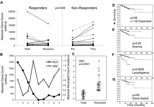 Figure 5. Absolute clone count by Vβ flow cytometry can be used to monitor therapy, and survival data suggest possible association with clone switching. Absolute clone size tends to decrease in responders to therapeutic intervention (n = 23) versus nonresponders (n = 26; matched pairs analysis, P = .024). Response was determine by hematologic improvement. (A) Patients with full hematologic remission (left panel broken lines) and patients with partial remission (left panel full lines) tend to demonstrate a decrease in absolute clone size. Patients who do not respond to therapy with no change in hematologic status (right panel broken lines) and patients whose condition deteriorated during treatment (right panel full lines) tend to exhibit an increase in absolute clone size. (B) Patients who displayed an increase in ANC as absolute clone count decreased. Although the proportion of clonal cells increased markedly after time point 6, the ACC increase was more modest and was accompanied by an increase in ANC by the most recent time point. (C) Subgroup analysis of patients with neutropenia who responded to various therapies (n = 23; cytoxan, cyclosporine, campath) demonstrate a significant increase in ANC. Clearly nonsignificant survival data are demonstrated for the presence of > 1 Vβ expansion (D bottom line), whereas patients with anemia (E bottom line) and lymphopenia (F bottom line) tend to do much worse. Clone switching (G bottom line) may have a relationship with survival, but at this analysis the data do not yield statistically significant results.