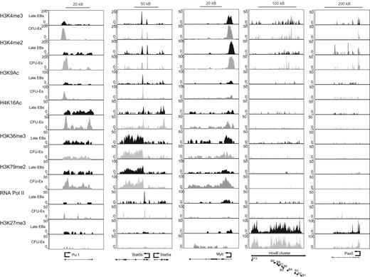 Figure 4. Regulation of histone modifications and RNA pol II binding in highly regulated genes. The mean binding density of each of the indicated modifications is shown averaged across the length of an average gene from 2 kb upstream of the TSS to 3 kb downstream of the gene terminus for the set of 126 induced genes (solid line) and 536 repressed genes (dashed line). Blue lines represent the mean binding density for each mark in enriched CFU-Es; and red lines, densities in late erythroblasts.