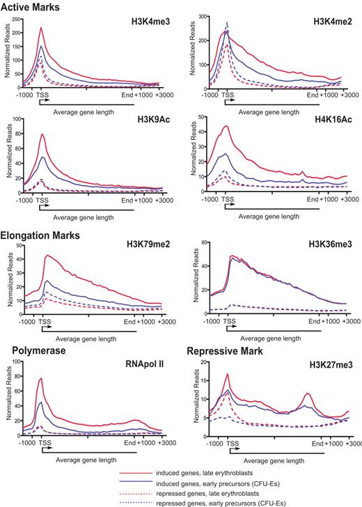 Figure 5. Binding of histone modifications and RNA pol II in highly repressed genes. ChIP-seq binding data for each of the histone marks are shown for select erythroid-specific genes known to be repressed during differentiation (Myb, Pu.1, Stat5a and -b, and the constitutively repressed HoxB gene cluster and Pax5). Light-colored peaks are in enriched CFU-Es, and dark-colored peaks in late erythroblasts. Numbers shown outside each graph are the scale of each graph (in normalized reads), and genomic scales (in kilobases) are shown for each gene above the set of graphs.