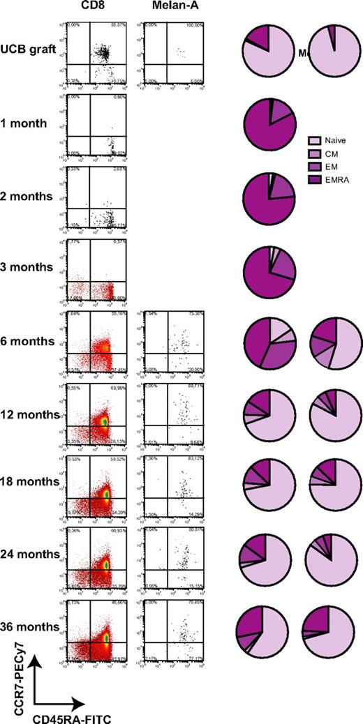 Figure 3. Phenotypic reconstitution of total CD8+ T cells and A2/Melan-A+ CD8+ T cells after UCBT. Representative dot plots and pie charts represent median frequencies of naive, central memory (CM), EM, and EMRA CD8+ T cells measured ex vivo in the graft inoculum and UCBT recipients with tetramer staining. No A2/Melan-A+ T cells were detected ex vivo at 1 to 3 months after UCBT.
