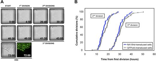 Figure 2. In vitro cell division kinetics of highly purified HSCs transduced either with control or NUP98-HOA10hd vector. (A) Time-lapse imaging of NUP98-HOXA10hd–transduced HSC divisions in a chamber. (B) E-SLAM cells were transduced with NUP98-HOXA10hd or GFP control retroviral vector and cultured under conditions given in Figure 3A. Two days after retroviral infection in the conventional culture, single transduced cells (42 of NUP98-HOXA10hd+ and 78 of GFP+) were deposited into individual chambers of microfluidic cell culture system. Time-lapse imaging and automated image analysis were used to score first, second, and third division of each single cell over 72 hours. Thus, first division refers not to actual first division in the culture but to first division that occurred in the microfluidic device, from which subsequent divisions were tracked and cell cycle kinetics measured. Each symbol shows the proportion of single viable cells initially deposited into individual chambers of microfluidic cell culture system that had divided by the time point shown.
