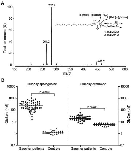 Figure 1. Quantification of glucosylsphingosine in plasma of type 1 Gaucher type patients. (A) Fragmentation spectrum of glucosylsphingosine. Predominant product ions (m/z 282.2 and 264.2) generated by collision induced fragmentation of glucosylsphingosine (m/z 464.2) are indicated. (B) Diagnostic value of glucosylsphingosine in type 1 Gaucher disease. Glucosylsphingosine and glucosylceramide levels in plasma of type 1 Gaucher patients (n = 64 and n = 49, respectively) and controls (n = 28). Patients homozygous for the mutation N370S are indicated with open circles (n = 19). Lines represent the median value in each group.