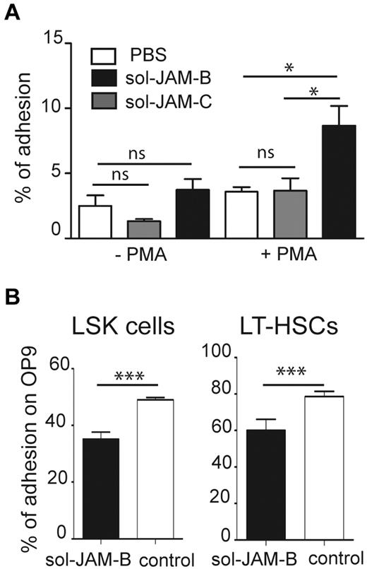 Figure 2. HSC adhere to stromal cells in a JAM-B dependent manner. (A) Graph showing adhesion of nonactivated or PMA activated LinNeg progenitor cells to plastic support (PBS), coated recombinant soluble JAM-B (sol-JAM-B) or recombinant soluble JAM-C (sol-JAM-C). After 1 hour, adherent cells were detached and percentages of adherent LSK cells were determined and compared with the percentage of LSK cells in the input of LinNeg population. Results are expressed as percentage of adhesion. (B) Adhesion of the indicated subset to the bone marrow stromal cell line OP9 is shown. Purified LinNeg progenitor cells were left untreated (white bars) or pre-incubated with sol-JAM-B (black bars) before incubation with the OP9 cell monolayer. After 1 hour, adherent cells were detached and percentages of adherent cells determined. Results are representative of at least 3 independent experiments (***P < .001).