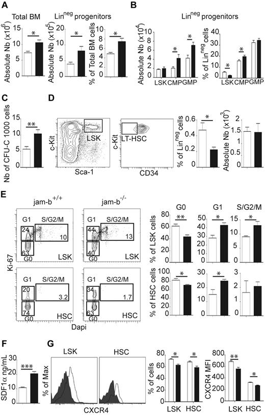 Figure 4. BM progenitor phenotype and cell cycle status in jam-b deficient mice. (A) The cellularity, number, and frequency of LinNeg progenitor cells in the bone marrow of jam-b deficient (black bar) or control mice (white bar) are shown. Results are expressed as mean ± SD. (B) Numbers and frequencies of LSK, CMP, and GMP cells in jam-b deficient (black bar) compared with control mice (white bar) are shown. (C) Colony-forming assays with jam-b deficient (black bar) compared with control mice (white bar). Results are expressed as number of CFU-C per 1000 cells. (D) Left panels: Representative flow cytometry profiles showing the gating strategy used to define LT-HSC. Right panels: Percentage of LT-HSC within the LinNeg population and absolute numbers of LT-HSC are shown. The decreased frequency of LT-HSC observed in jam-b−/− mice does not translate in changes in absolute numbers. (E) Representative dot-plots showing ki-67/DAPI staining gated on LSK cells (top panels) or on HSC-MPP (bottom panels) are shown. The graphs show the frequencies of LSK or HSC-MPP1 cells in Phase G0 (Ki-67Neg DAPINeg), G1 (Ki-67Pos DAPINeg), and S/G2/M (Ki-67Pos DAPIPos) in jam-b−/− mice (black bar) compared with control mice (white bar). Decreased frequencies of progenitor cells in G0 Phase are observed in jam-b−/− mice. (F) The levels of bone marrow SDF-1α contents in jam-b−/− (black bar) or control mice (white bar) assessed by ELISA are shown. Results are expressed as SDF-1α concentration and correspond to the SDF-1α quantity found in 1 leg. (G) Representative histogram profiles showing CXCR4 expression on the indicated hematopoietic subset in control (gray line) and jam-b deficient mice (filled profile). Graphs in the left panels show the percentages and the MFI of CXCR4 expression on the indicated subset in control (white bar) and jam-b deficient mice (black bar). Results are representative of at least 5 mice per group (*P < .05; **P < .01; ***P < .001).