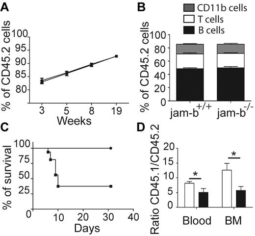Figure 5. JAM-B expression on stromal cells is required for BM engraftment. (A) The graph shows the percentage of chimerism at different time after graft of jam-b−/− or jam-b+/+ CD45.2 BM cells into lethally irradiated recipient CD45.1 mice. jam-b+/+ BM cells as well as jam-b−/− BM cells are able to reconstitute recipient mice. (B) Graph showing the proportion of T (CD3+), B (CD19+) and myeloid (CD11b+) cells in the blood of recipient mice 19 weeks after engraftment with BM cells from the indicated donor. (C) Percentage of survival of jam-b−/− or jam-b+/+ mice lethally irradiated and grafted with CD45.1 LSK cells. Most of jam-b−/− mice die after irradiation (square) whereas all control mice survive (circle). (D) The graph shows the percentage of chimerism 4 weeks after graft of CD45.1 LSK cells into control (white bars) or jam-b deficient recipient mice (black bar). Results obtained in the BM and in the blood are shown. Results are representative of at least 5 mice per group (*P < .05).