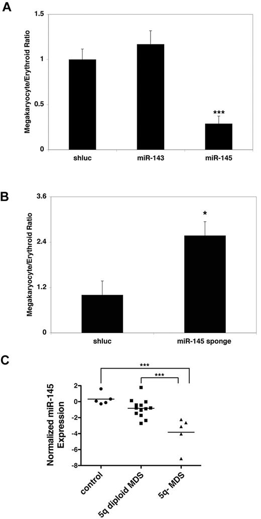 Figure 1. miR-145 regulates erythroid-megakaryocytic differentiation. (A) Relative to an shRNA-targeting Renilla luciferase (shluc), overexpression of miR-145, but not overexpression of miR-143, promotes erythroid relative to megakaryocytic differentiation in CD34+ progenitors. The ratios of cells from the megakaryocytic and erythroid lineages, indicated on the y-axis, were assessed by flow cytometry with antibodies against CD41 (for the megakaryocytic lineage) and GlyA (for the erythroid lineage), respectively. Similar results were obtained with the early erythroid marker CD71. (B) Relative to an shRNA-targeting Renilla luciferase (shluc), expression of an miRNA sponge targeting miR-145 promotes megakaryocytic relative to erythroid differentiation in CD34+ progenitors as assessed in Figure 1A. (C) Quantitative RT-PCR was performed for miR-145 in CD34+ progenitors from healthy persons (control), MDS CD34+ progenitors wild-type for 5q (5q diploid MDS), and in CD34+ progenitors from patients with the 5q− syndrome (5q− MDS). Expression levels were normalized to snoRNA-142 and then log2 normalized. Values represent the mean of 4 replicates. (A-B) Values are mean ± SEM with propagated error. These experiments were performed in triplicate and replicated twice. *P < .05. ***P < .0005.