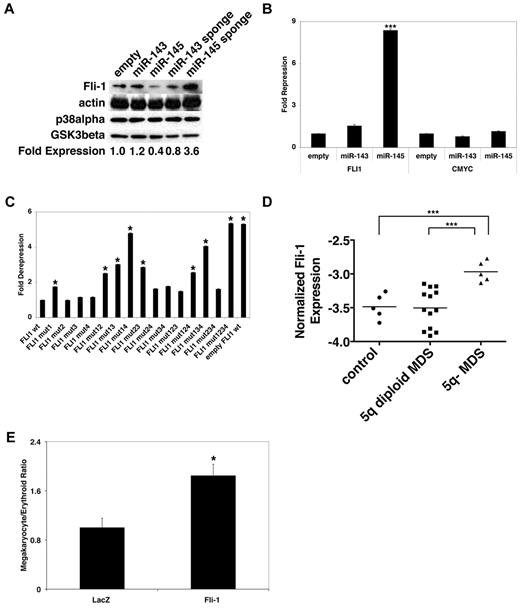 Figure 2. miR-145 suppresses Fli-1. (A) HEL cells were infected with control lentiviruses, lentiviruses overexpressing miR-143 or miR-145, or lentiviruses expressing miRNA sponges targeting miR-143 and miR-145. Western blotting was performed for Fli-1, actin, p38alpha, and GSK3beta. Fold expression was determined by the ratio of Fli-1 expression to p38alpha. These experiments were replicated twice. (B) Luciferase assays were performed in 293T cells cotransfected with control lentiviruses or lentiviruses overexpressing miR-143 or miR-145 and pRL-TK containing binding sites or murine Fli-1 and c-Myc 3′UTRs. pGL3 was used as a transfection control. Expression was normalized to pGL3 levels and subsequently normalized relative to pRL-CXCR4 expression. Values are mean ± SEM (n = 6) with propagated error. These experiments were replicated 3 times. (C) Luciferase assays were performed in 293T cells cotransfected with control lentiviruses (empty FLI1 wt) or lentiviruses overexpressing miR-145 and pRL-TK containing either the wild-type murine Fli-1 3′-UTR (FLI1 wt) or the Fli-1 3′UTR with individual or combined point mutations of miR-145 binding sites (FLI1 mut1-mut4). pGL3 was used as a transfection control. Expression was first normalized to pGL3 levels and subsequently normalized relative to FLI1 wt expression. Values are mean ± SEM (n = 6) with propagated error. These experiments were replicated 3 times. (D) Quantitative RT-PCR was performed for Fli-1 in CD34+ progenitors as described in Figure 1C. Expression levels were normalized to GAPDH. Values are mean (n = 4). These experiments were performed in quadruplicate and replicated twice. (E) Relative to a control cDNA (LacZ), overexpression of Fli-1 promotes megakaryocytic relative to erythroid differentiation in CD34+ progenitors as assessed in Figure 1A. Values are mean ± SEM with propagated error. These experiments were performed in triplicate and replicated 2 times. *P < .05. ***P < .0005.