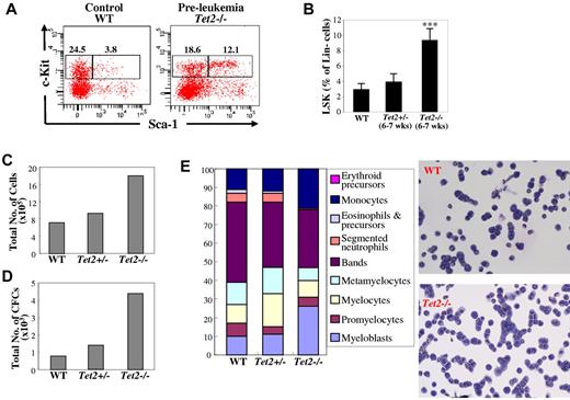Figure 4. Deletion of Tet2 alters HSC compartments in mice before their development of myeloid malignancies as well as HSC proliferation and differentiation potential in vitro. (A) Flow cytometric analysis of LSK (Lin–Sca-1+Kit+) HSC and LK (Lin–Sca-1−Kit+) progenitor cell population in a representative preleukemic 6- to 7-week-old Tet2−/− mice. (B) The percentage of LSK cells within the Lin− cell populations in the BM of preleukemic Tet2−/−, Tet2+/−, and WT control mice (average ± SD of 4-8 animals). (C-E) The proliferation and differentiation potential of various genotypes of LSK cells were examined by culturing 500 LSK cells in the presence of 4 growth factors and assaying their ability to generate total cells (C) and CFCs (D) after 7 days of culture. CFCs in each culture were evaluated by colony assay of a fraction of the cultures. Cytospin preparations of the progenies generated from each genotype of LSK cells after 7 days of culture were stained with May-Giemsa, a 200-cell differential was performed (E). Representative data from 2 separate experiments are shown. ***P < .001.