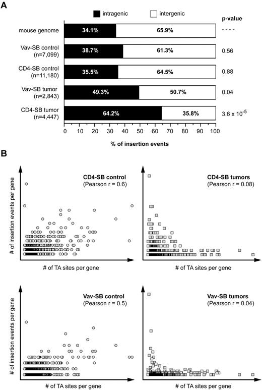 Figure 2. Transposition within the T-cell lineage does not show significant integration site bias. (A) The distribution of insertion sites within nonmalignant thymocytes and tumors from the Vav-SB and CD4-SB models is shown. A Fisher exact test was used to compare the distribution in each sample to the expected distribution observed in the mouse genome. (B) A Pearson correlation revealed a positive correlation between the number of insertion events within each RefSeq gene and the number of TA sites (ie, SB target sites) found within the gene. However, this correlation is present in nonmalignant control samples (circles) but not in tumor samples (squares).