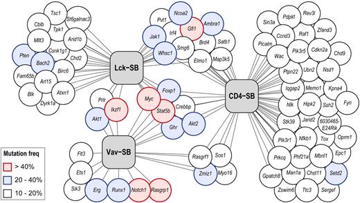 Figure 3. Distribution of driver mutations in 3 independent SB models of T-ALL. Each gene identified as a driver mutation in one or more models is represented as a circle. The connecting lines indicate each gene's association with one or more T-ALL models (represented by gray boxes). The frequency of transposon-induced mutation in each gene is indicated by its color (white, 10%-20%; blue, 20%-40%; red, > 40%). In cases where a gene was identified in multiple models, the highest mutation frequency is indicated.