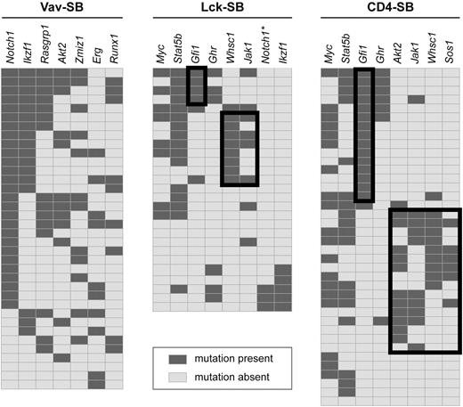 Figure 4. Identification of genetic signatures within each T-ALL model. Genetic signatures were identified within each model by identifying mutations that show significant negative correlation. For each panel, genes are shown as columns as indicated across the top, and individual tumors are shown as independent rows. A dark gray box indicates the presence of a transposon insertion within the indicated gene while a light gray box implies the absence of mutation. Negative correlation between pairs of genes were assessed by Fisher exact test. Black-lined boxes indicate subsets of tumors defined by a negative correlation. For example, mutations in Gfi1 were mutually exclusive with mutations in Whsc1 (P = .018), Akt2 (P = .004), Jak1 (P = .018), and Sos1 (P = .027) in CD4-SB tumors. *Insertion events detected, but below threshold for significance.