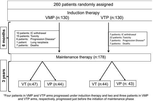 Figure 2. Trial profile. Four patients in each of the VMP and VTP arms progressed under induction therapy, and 2 patients in VMP group and 3 in VTP group progressed just before to start the maintenance phase.
