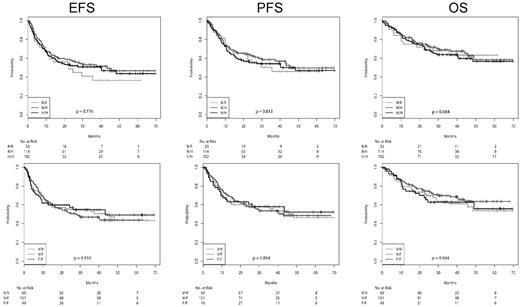 Figure 1. EFS, PFS, and OS of patients receiving CHOP-14 according to FcγR polymorphisms. From left to right: EFS, PFS, and OS. Top row: FcγRIIa SNPs. Bottom row: FcγRIIIa SNPs. Survival curves were compared using the log-rank trend test.