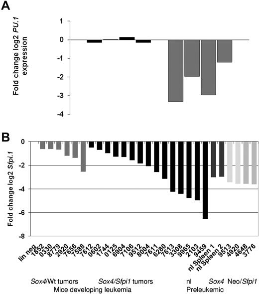 Figure 4. Ectopic SOX4 expression reduces PU.1 mRNA levels in vitro and in vivo. (A) PU.1 mRNA levels were analyzed by quantitative RT-PCR in HL 60 cells electroporated with pIRES2-GFP (Vector) or pIRES2-GFP-SOX4 (SOX4) constructs, and normalized to β-ACTIN mRNA levels. Four independent electroporation experiments were performed and analyzed (P = .019). (B) Quantitative RT-PCR analysis of Sfpi1 mRNA levels in Sox4-induced leukemic and preleukemic spleen tissues versus normal spleens and Lin− cells (fold change). Leukemic spleens: #1852 to #7588 (Sox4/WT tumors, dark gray) and #7612 to #9459 (Sox4/Sfpi1 tumors, black); normal spleens: wild-type spleens (1 and 2, brown), preleukemic spleens: #9513 and #4920 (Sox4/WT group, gray), and Neo/Sfpi1 spleens (#4648 and #3776, light brown). Sox4/WT tumors versus Sox4/Sfpi1 tumors (P = .045). Normal spleen versus Sox4/WT preleukemic spleen (P = .044). Normal spleen versus Neo/Sfpi1 spleens (P = .003).